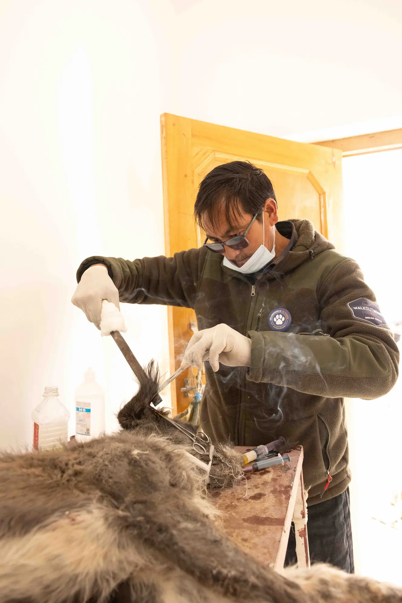 Elite Expedition team member treating and caring for a stray dog in Ladakh