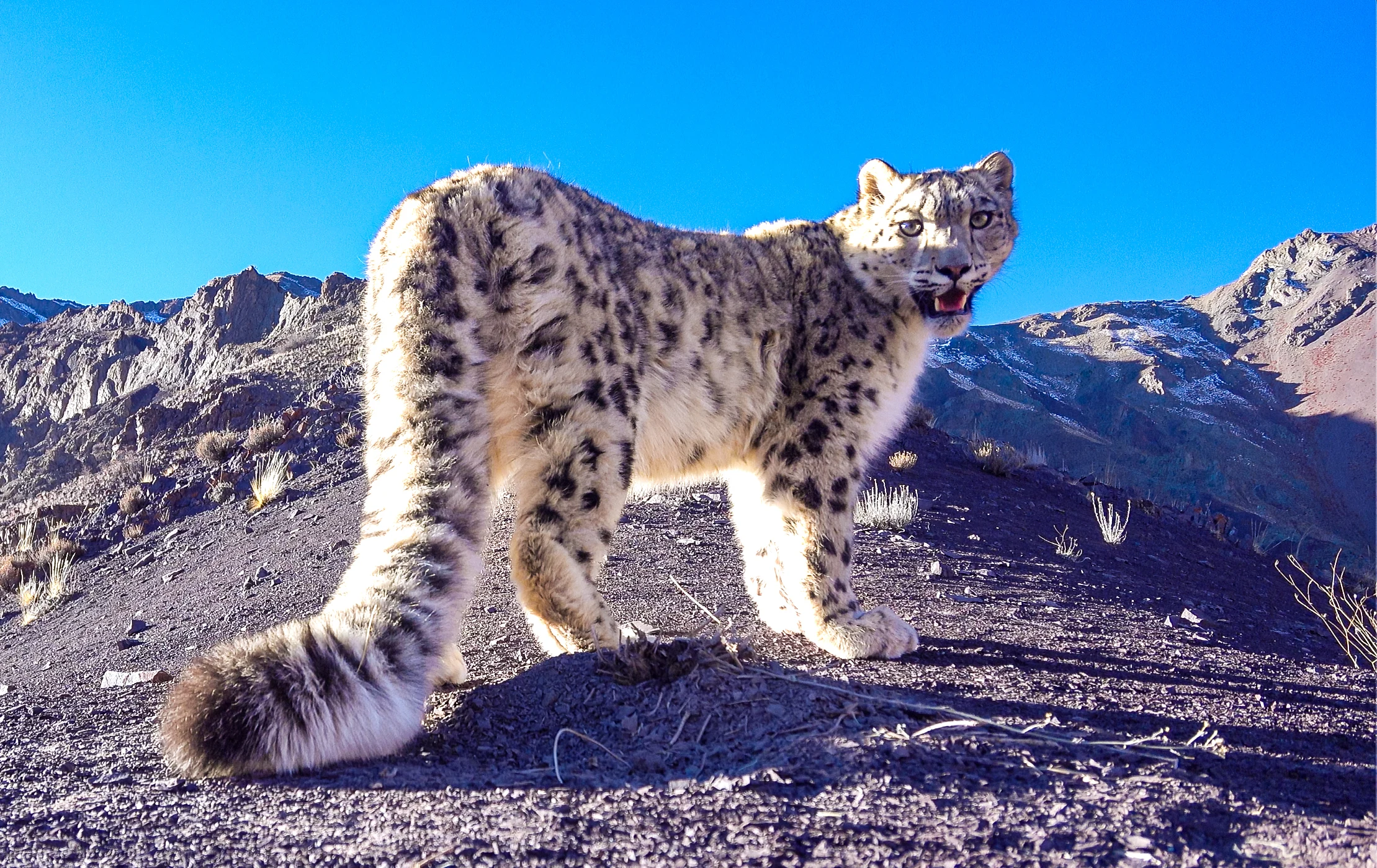 Elite Expedition Gallery