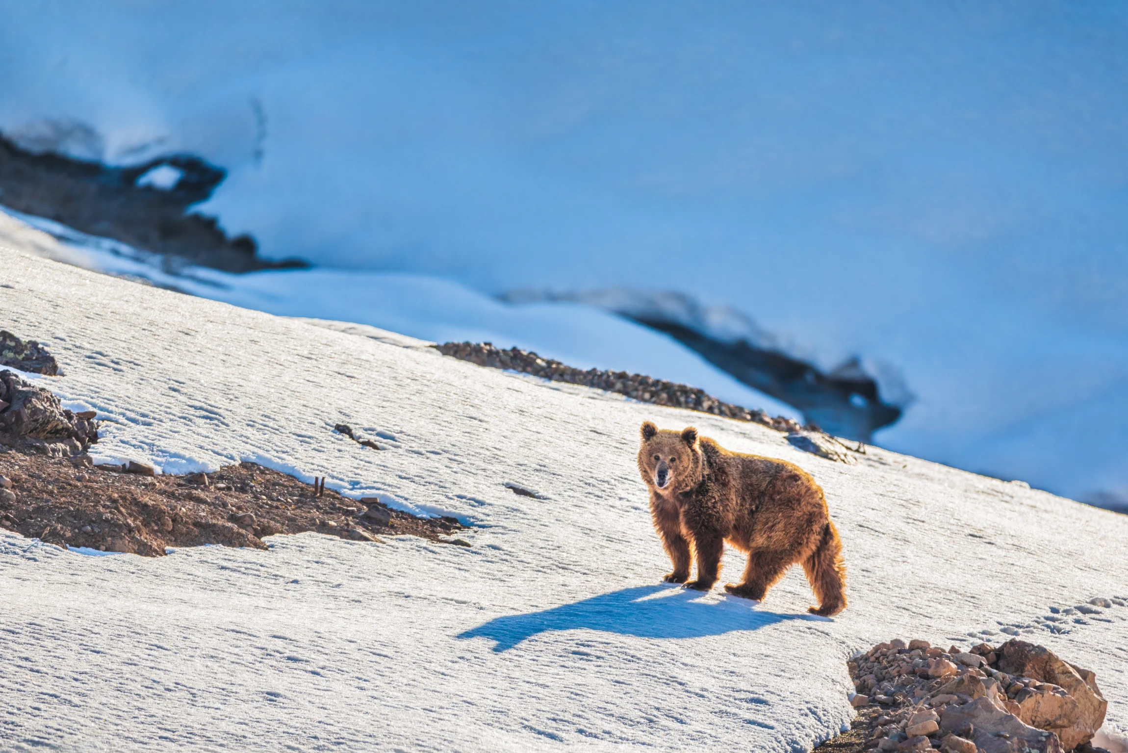 Elite Expedition Gallery