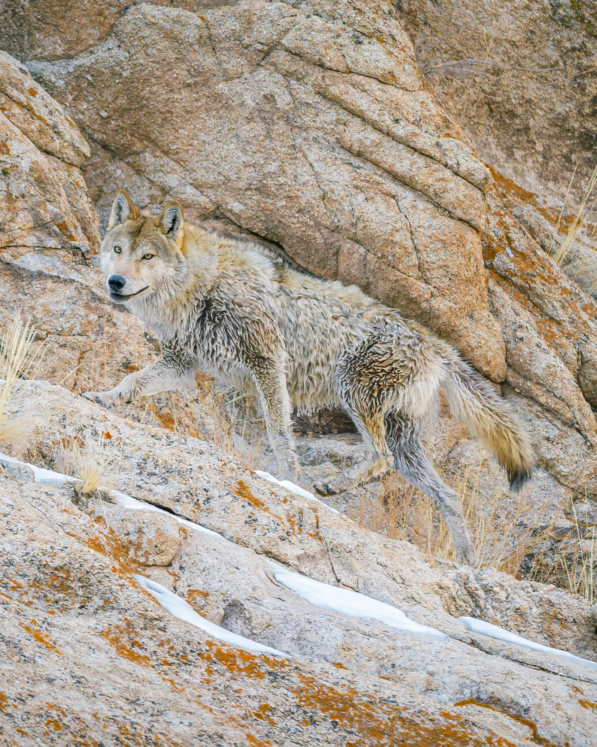 Elite Expedition Gallery