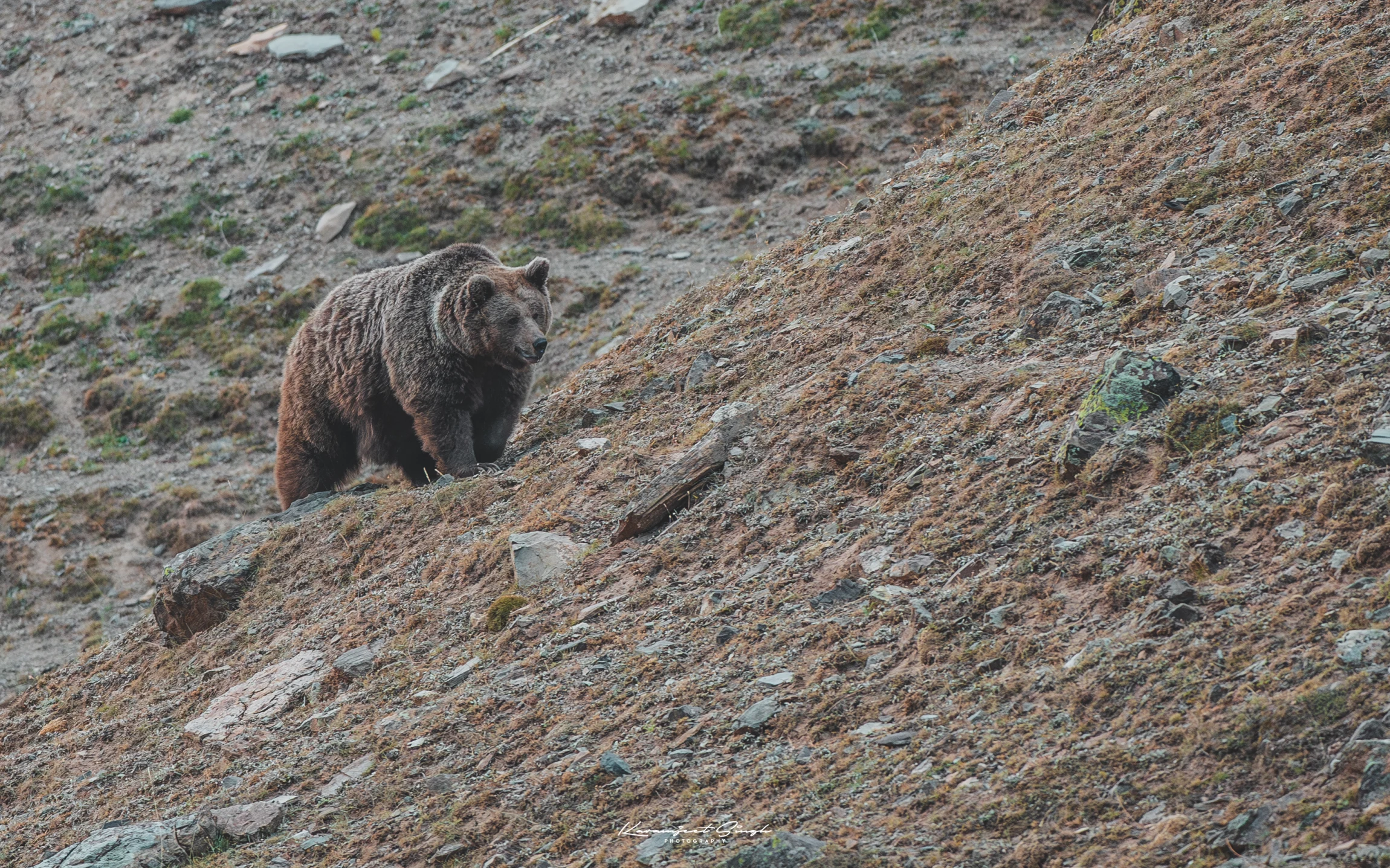 Elite Expedition Gallery