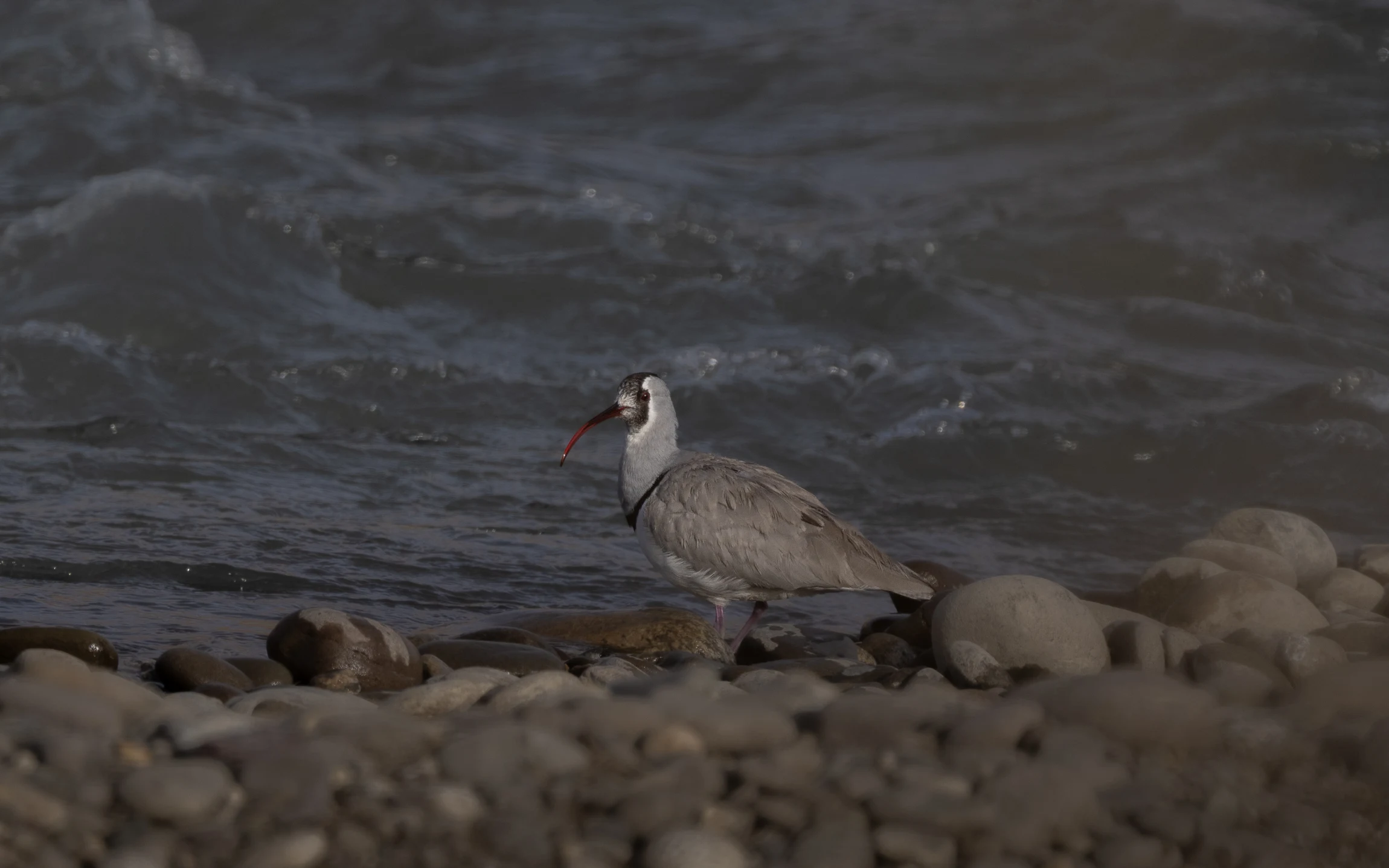 Elite Expedition Gallery