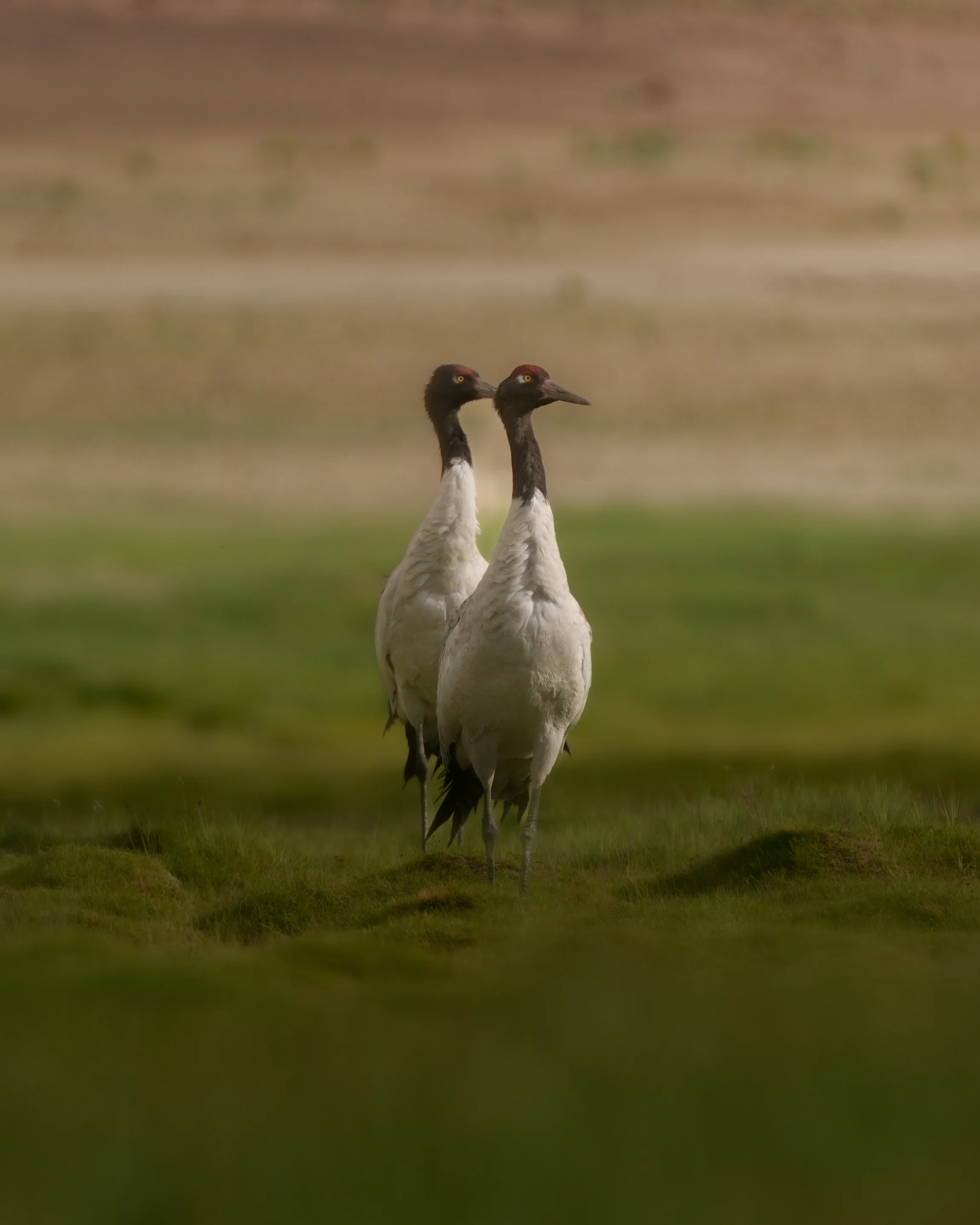 Elite Expedition Gallery