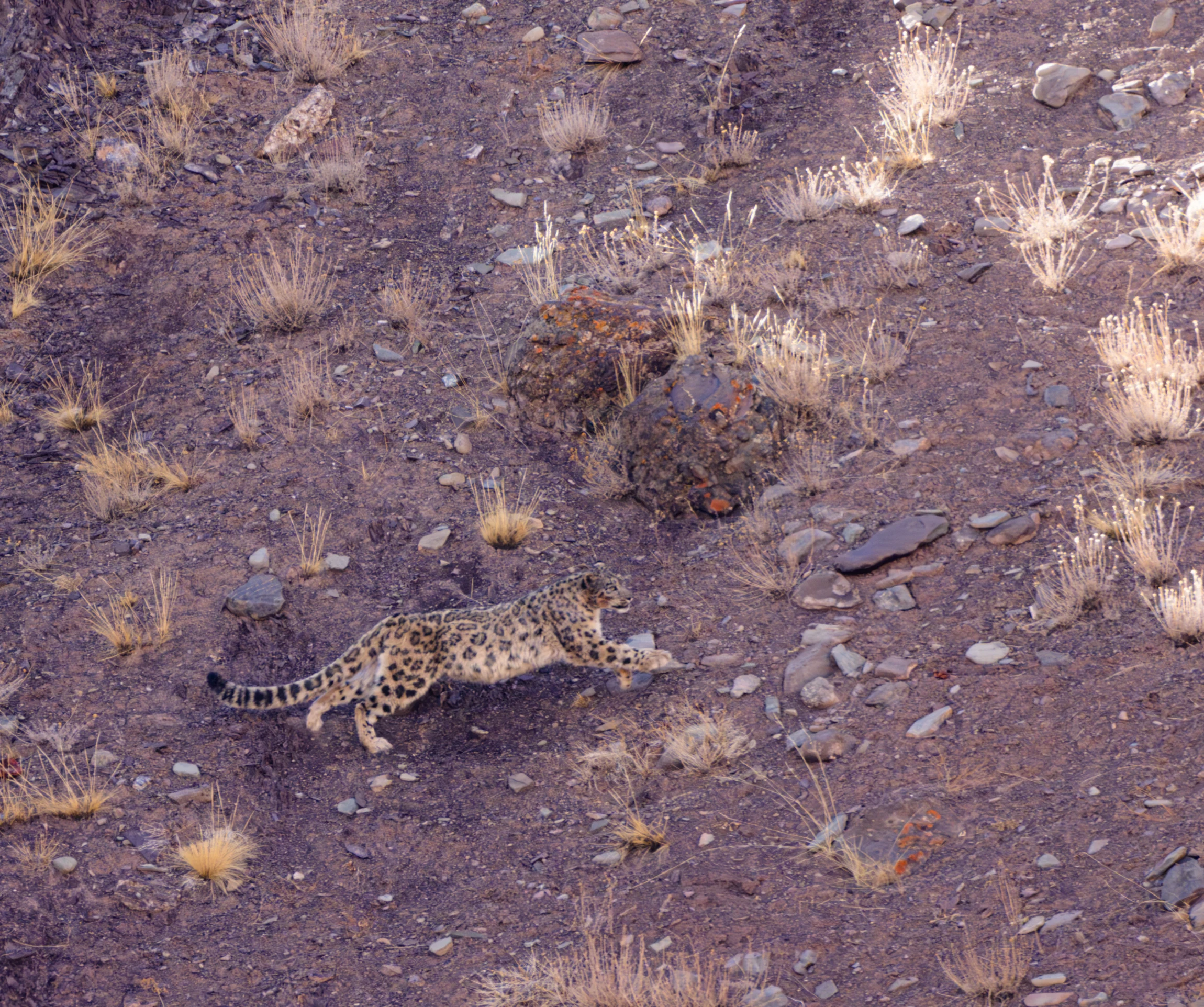 Elite Expedition Gallery