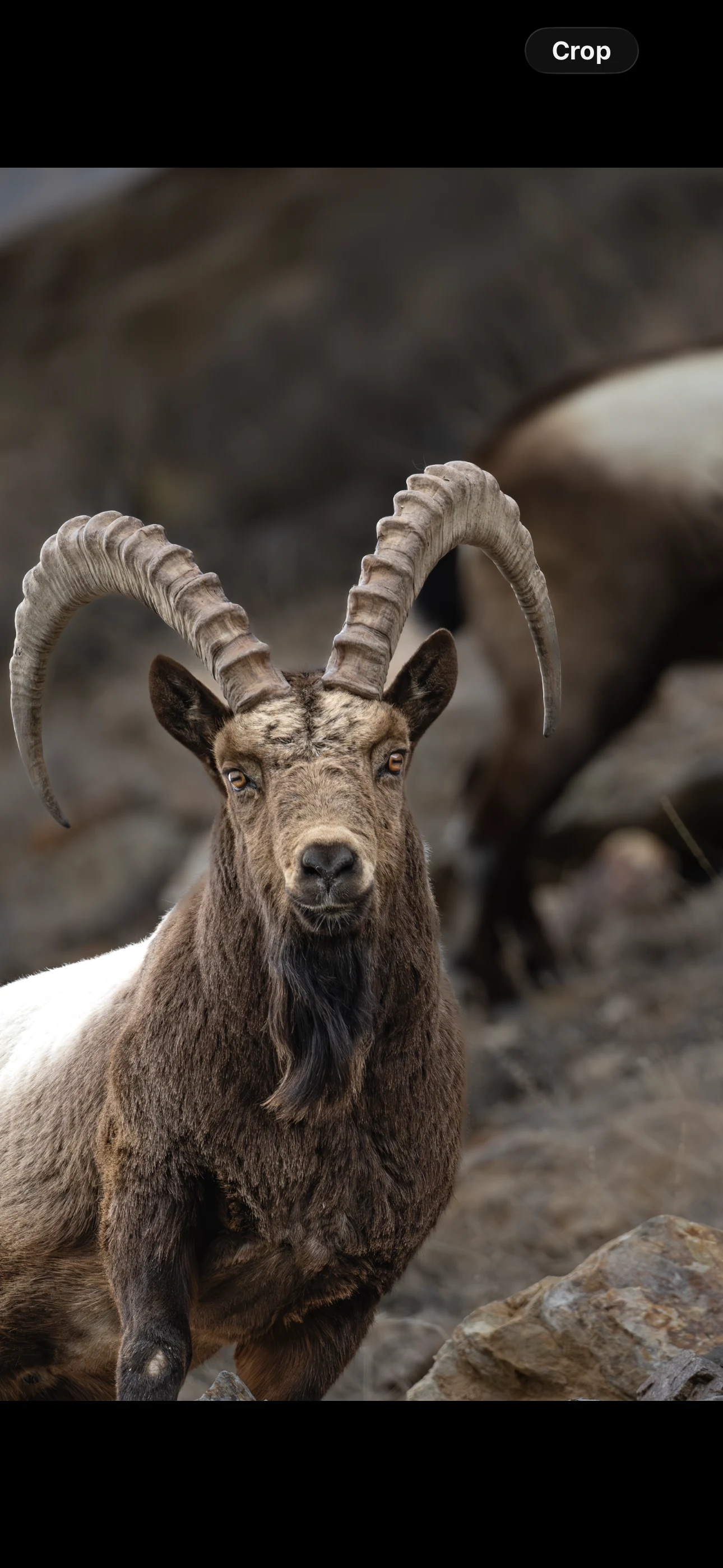 Elite Expedition Gallery