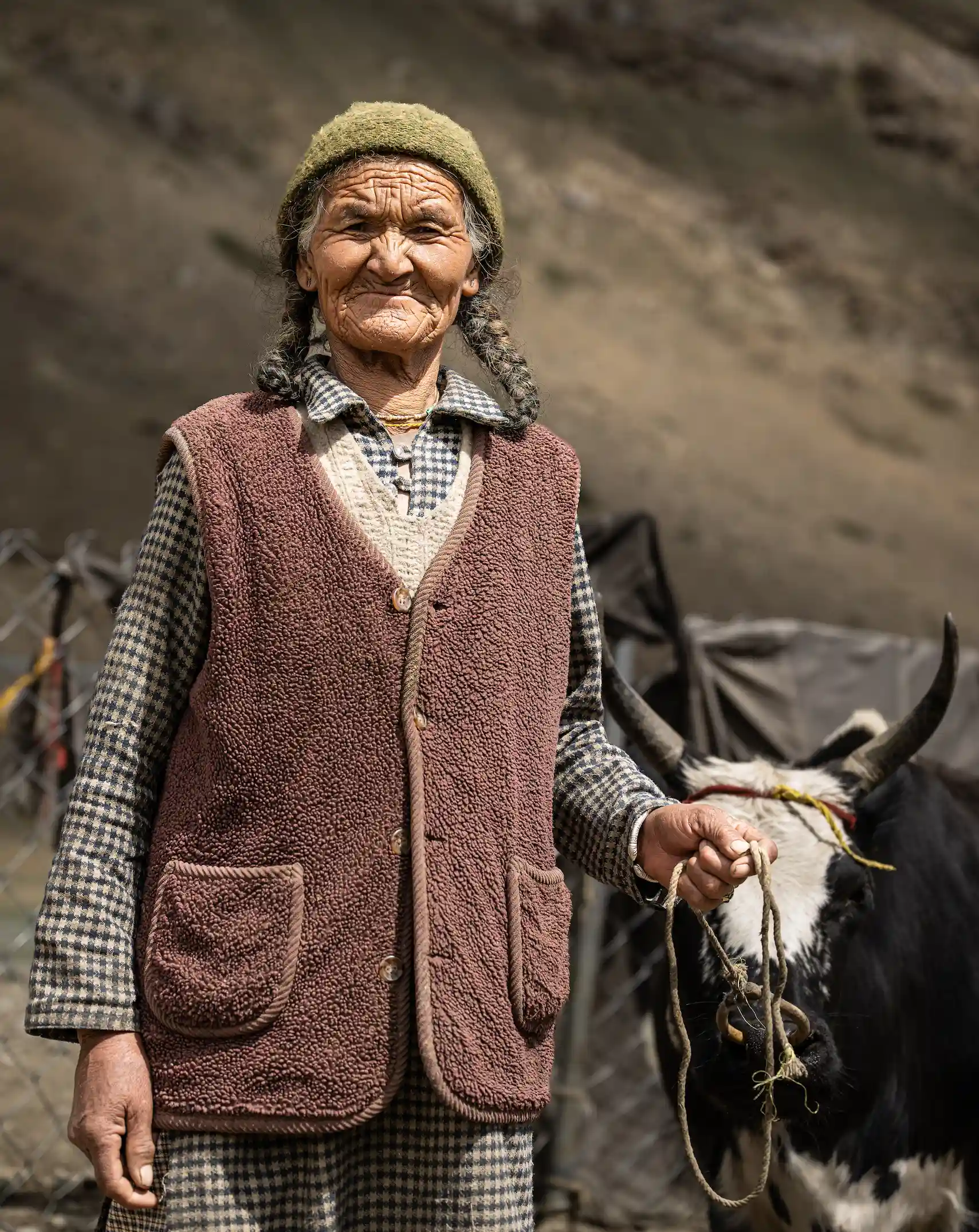 Elderly Ladakhi woman portrait, a local community member