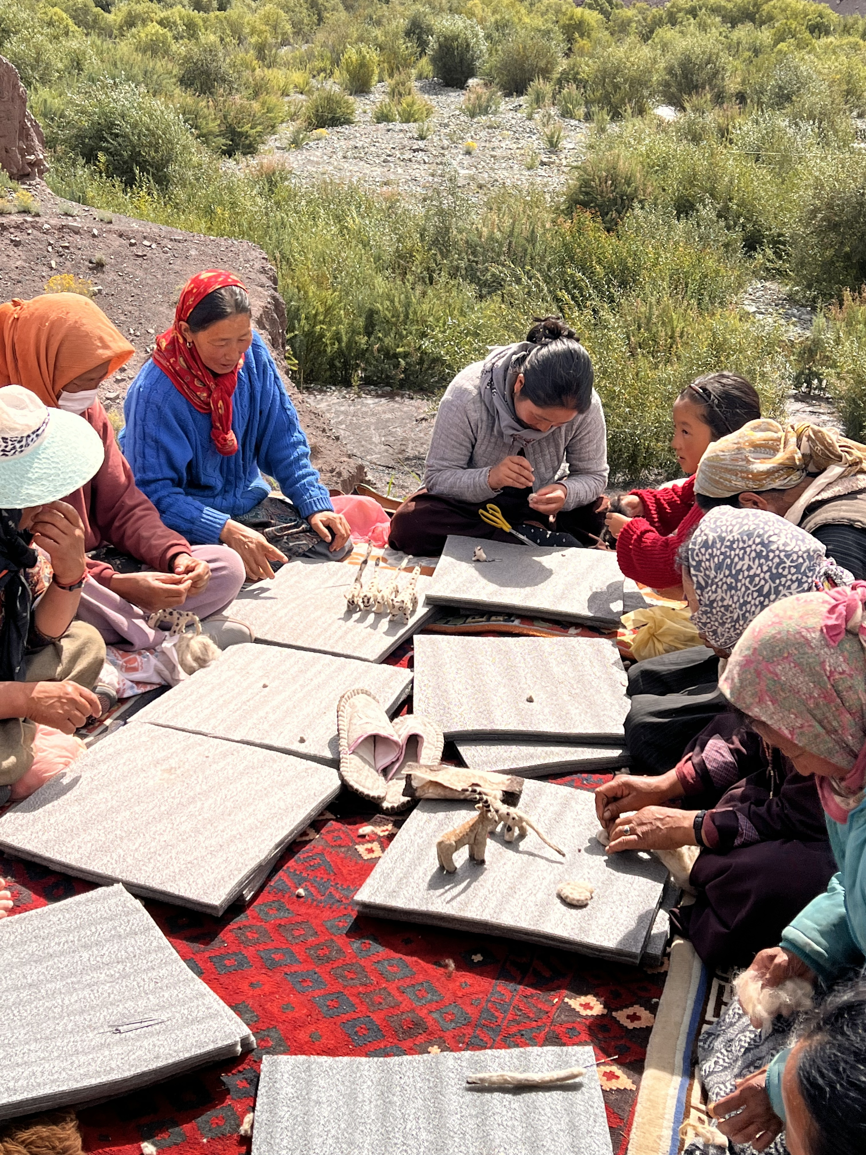 Camera trap capture of snow leopard in Ladakh